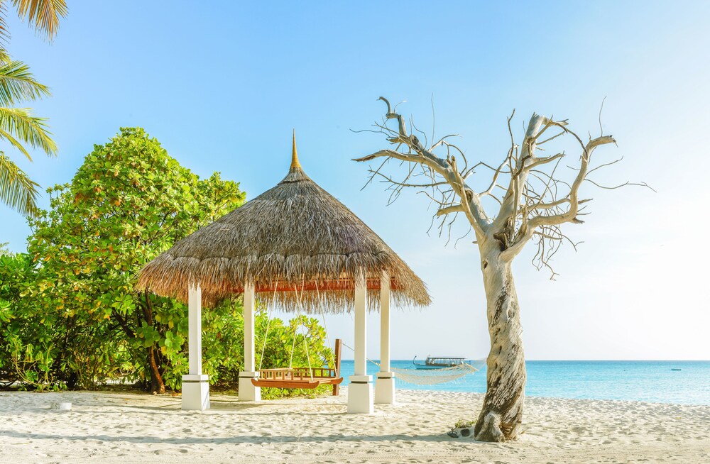 Book Palm Beach Island Resort Spa Maldives In Madhiriguraidhoo Island Hotels Com