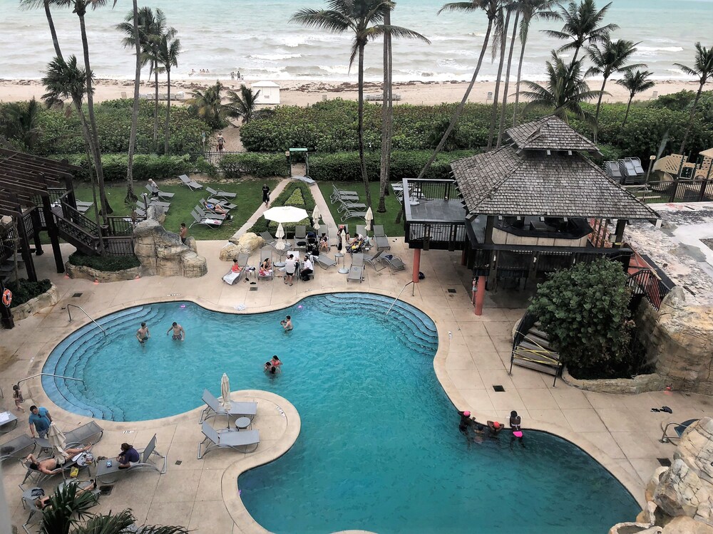 Alexander Miami Beach The Best Beaches In World Book Alexander By Design Suites In Miami Beach Hotels