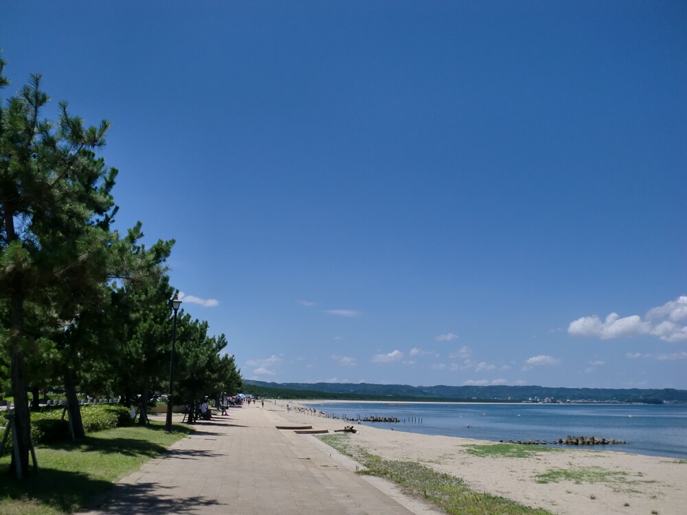 旅館 魚半 ビーチ近くに位置する屋外プール付きの旅館 宿泊予約はホテルズドットコム