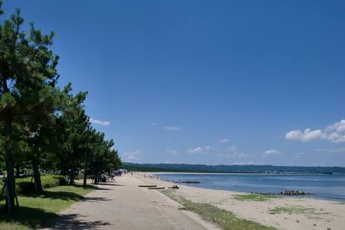 旅館 魚半 ビーチ近くに位置する屋外プール付きの旅館 宿泊予約はホテルズドットコム 旅館 魚半 ビーチ近くに位置する屋外プール付きの旅館 宿泊予約はホテルズドットコム