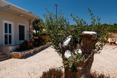 aika akvaryum bozcaada hotels com