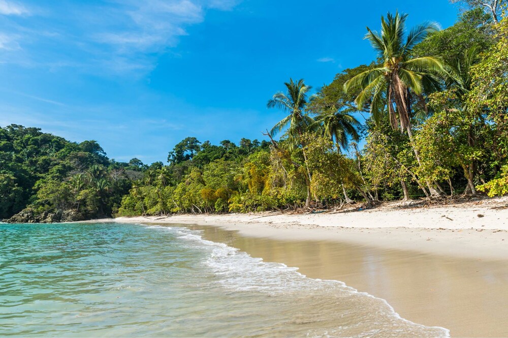 Buena Vista Beach Villas Manuel Antonio Costa Rica Manuel Antonio Hotel Discounts Hotels Com