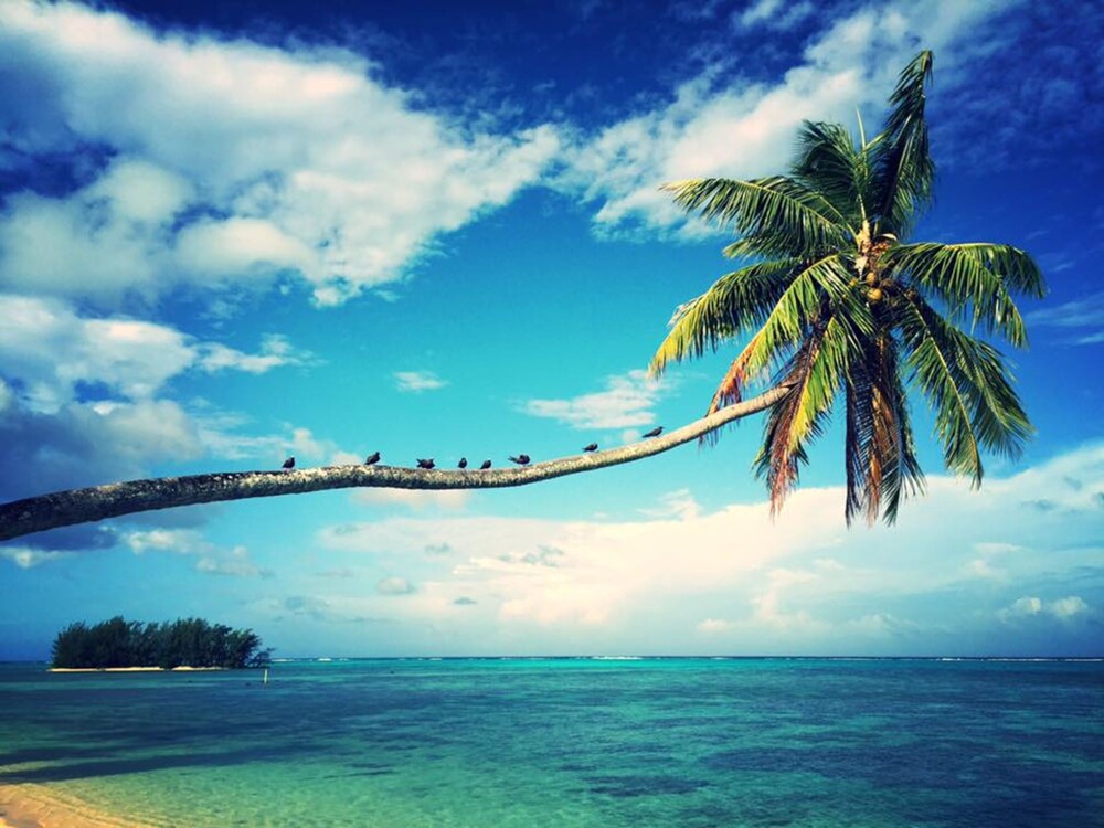 Moorea Beach Lodge Moorea Maiao Hotels Com