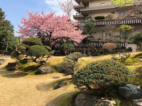 熱海必去景點 介紹18 熱海梅園旅遊資訊及熱海梅園附近酒店推介