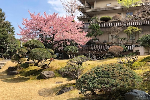 熱海必去景點 介紹18 熱海梅園旅遊資訊及熱海梅園附近酒店推介 熱海必去景點 介紹18 熱海梅園旅遊資訊及熱海梅園附近酒店推介