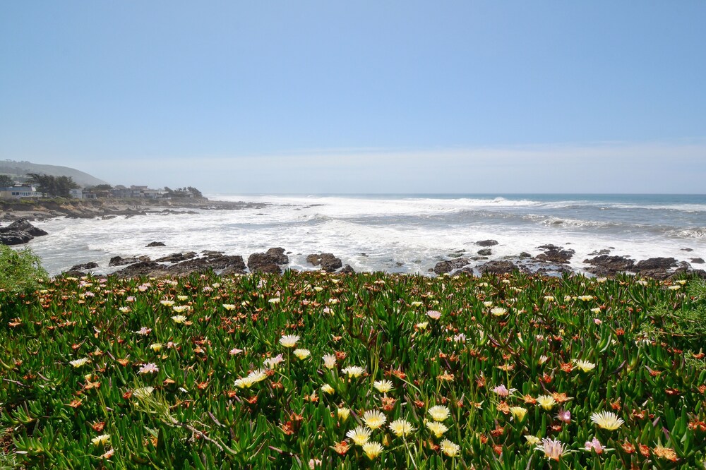 ocean mist - #lh13: 2 br, 2 ba house in cambria, sleeps 4