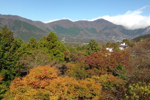 Oyo 旅館 長寿湯 箱根仙石原 箱根 の宿泊予約 ホテルズドットコム Oyo 旅館 長寿湯 箱根仙石原 箱根 の宿泊予約 ホテルズドットコム