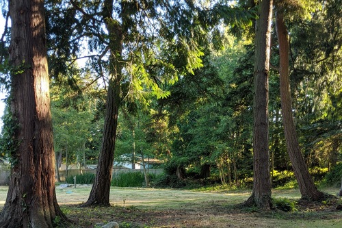 Top Hotels In Freeland Washington Cancel Free On Most Hotels Hotels Com Top Hotels In Freeland Washington Cancel Free On Most Hotels Hotels Com