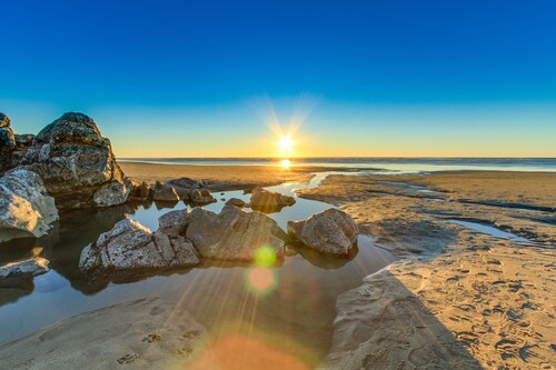 リンカーンシティ のペットと泊まれるホテルの宿泊予約 最安値検索 格安予約 多数の宿泊施設のキャンセル無料 ホテルズドットコム