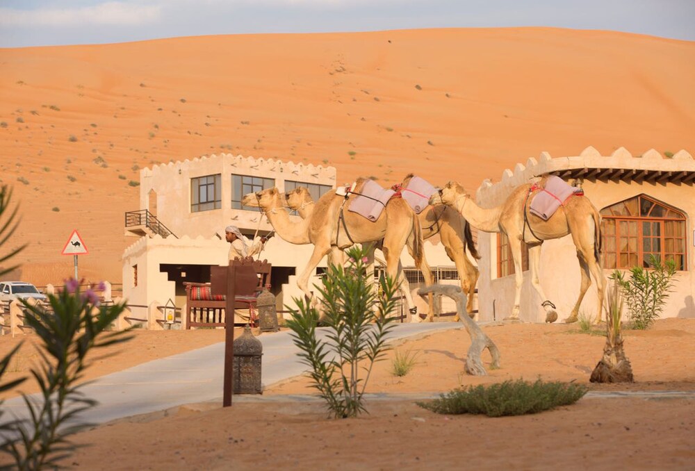 Book Thousand Nights Camp In Bidiya Hotels Com