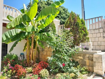 Naktsmītnes Adria Apartments attēls vietā Dubrovnika