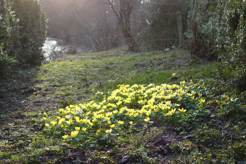 30+ schön Bilder Haus Am Bach Allershausen - Pension Haus Am Bach Allershausen Bilder - Uhlandstraße 1 85391 allershausen deutschland.