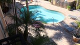 Top 10 Dunedin Hotels Near Honeymoon Island State Park Pinellas Picture Of Bamboo Hideaway At Coconut Villas Dunedin 2 Bedrooms 1 Bathroom Condo In