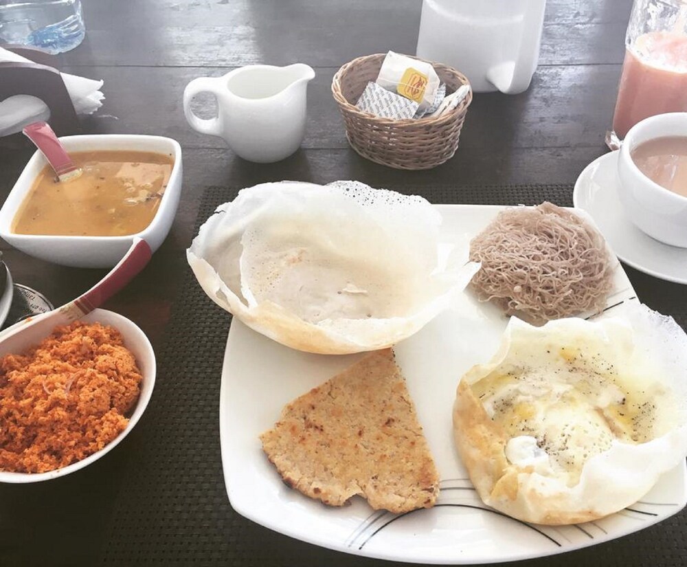 من بينها ستيفيا 4 بدائل طبيعية صحية للسكر Sputnik Arabic