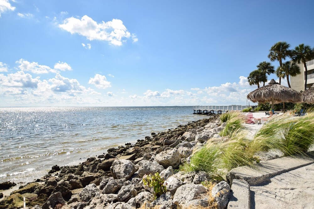 tampa bay spectacular waterfront views!