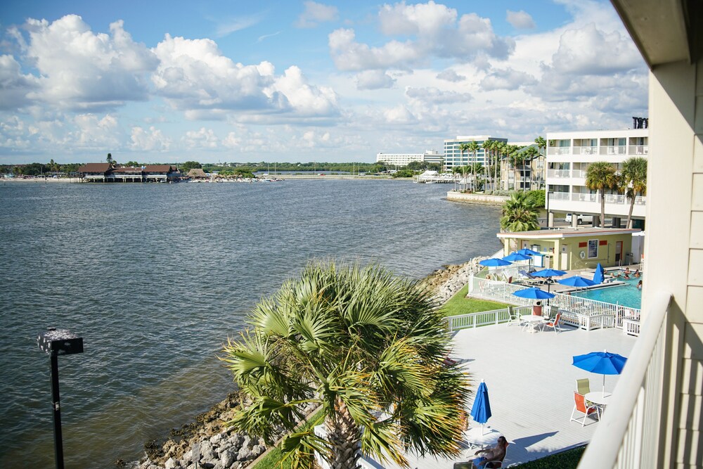 tampa bay spectacular waterfront views!