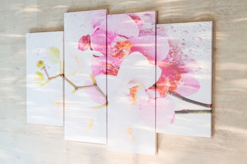 札の家 京都市 の宿泊予約 ホテルズドットコム