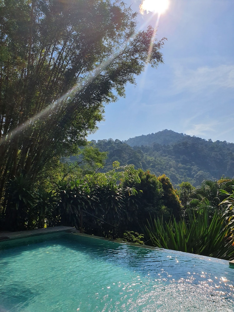 Book The Dusun in Seremban  Hotels.com
