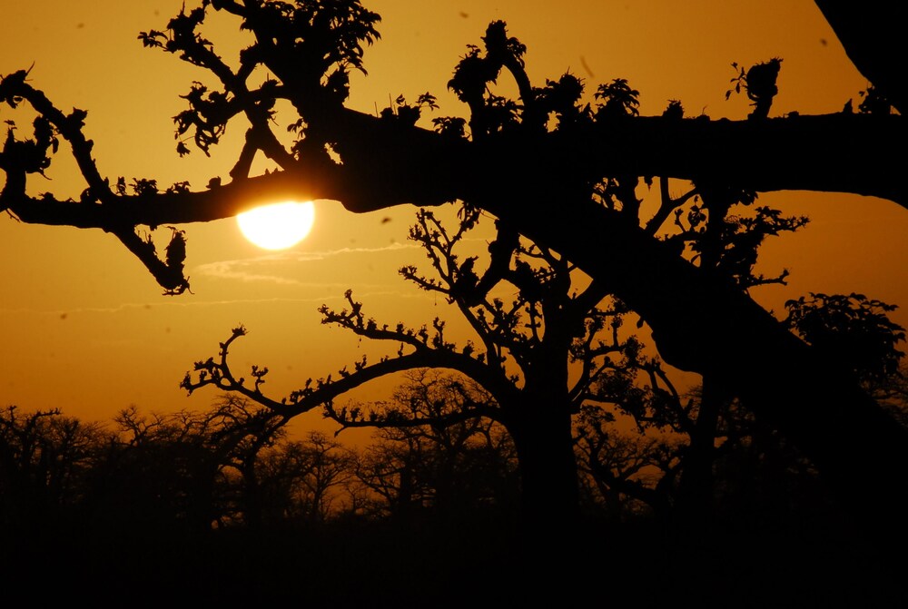 Baobab Soleil Nguekhokh Hotels Com