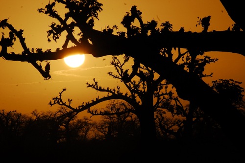 Baobab Soleil Nguekhokh Hotels Com Baobab Soleil Nguekhokh Hotels Com