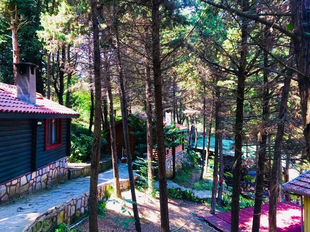 agva orman evleri forest lodge sile hotels com
