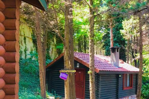 agva orman evleri forest lodge sile turkey sile hotel discounts hotels com