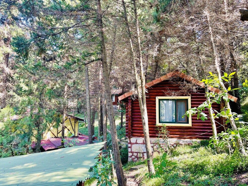 agva orman evleri forest lodge sile hotels com