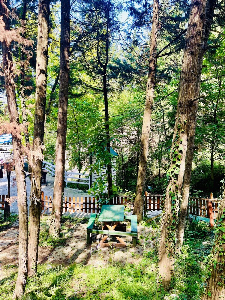 agva orman evleri forest lodge sile hotels com