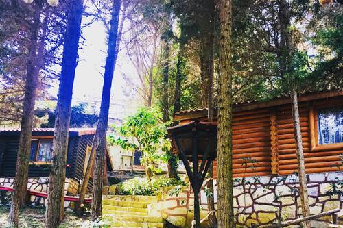 agva orman evleri forest lodge sile turkey sile hotel discounts hotels com