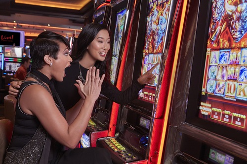Maryland Live Casino Tax Id Number Maryland Live Casino Tax Id Number