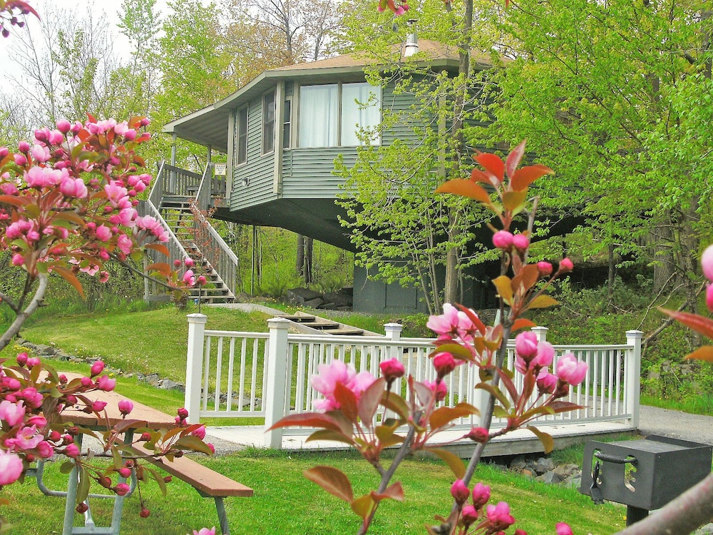 德卢斯山区别墅酒店