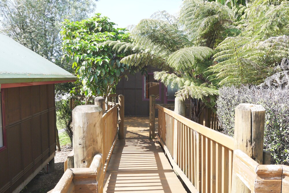 Lake Karapiro Mighty River Domain Maungatautari New Zealand Maungatautari Hotel Discounts Hotels Com