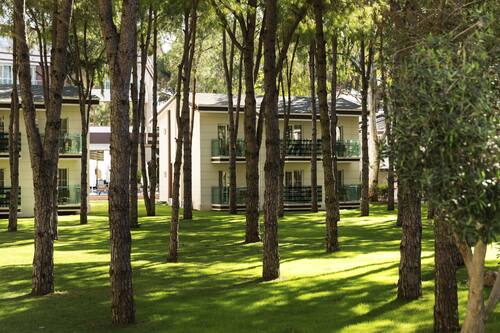 book tui magic life masmavi all