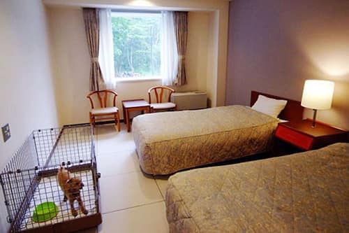 浅間高原ホテル 嬬恋 およびその周辺 の宿泊予約 ホテルズドットコム 浅間高原ホテル 嬬恋 およびその周辺 の宿泊予約 ホテルズドットコム