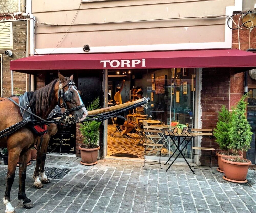 Selanikli Pansiyon Heybeliada Adalar Hotels Com