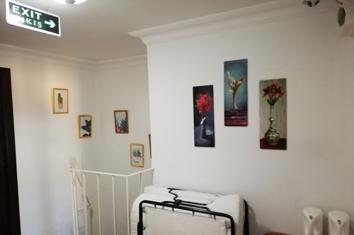 Selanikli Pansiyon Heybeliada Adalar Hotels Com