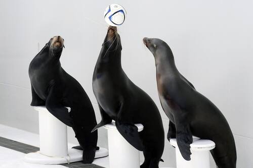 潮騒リゾート鴨川 鴨川 の宿泊予約 ホテルズドットコム 潮騒リゾート鴨川 鴨川 の宿泊予約 ホテルズドットコム