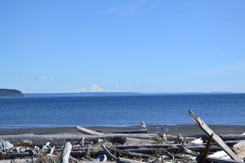 Top Hotels In Freeland Washington Cancel Free On Most Hotels Hotels Com Top Hotels In Freeland Washington Cancel Free On Most Hotels Hotels Com