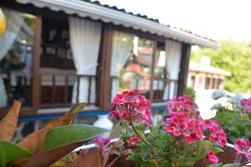 Selanik Pansiyon Selcuk Hotels Com