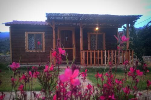 ipekce tatil evleri datca hotels com