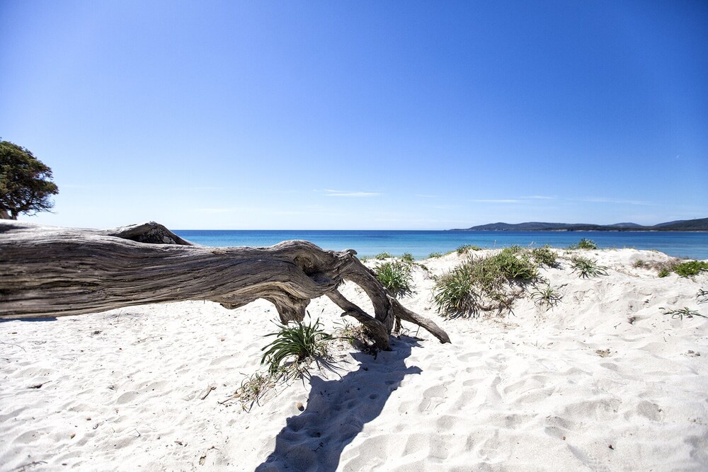 new penthouse with sea and green view, 5th floor, with free wi