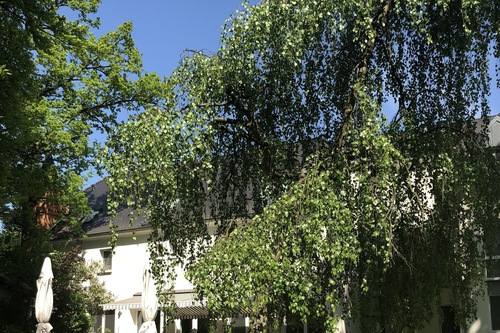 ドイツ アンハルト ヴィッテンブルク 地方 のホテル 宿泊予約 格安ホテル予約 最安値検索 ホテルズドットコム ドイツ アンハルト ヴィッテンブルク 地方 のホテル 宿泊予約 格安ホテル予約 最安値検索 ホテルズドットコム