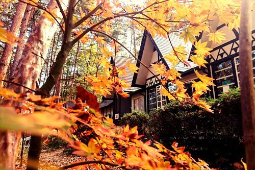 ペンションメープルリーフ 安曇野 の宿泊予約 ホテルズドットコム ペンションメープルリーフ 安曇野 の宿泊予約 ホテルズドットコム