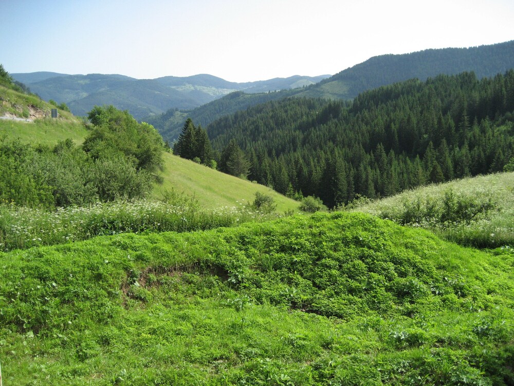 斯麦林养生酒店