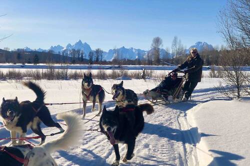 ホテルズドットコム