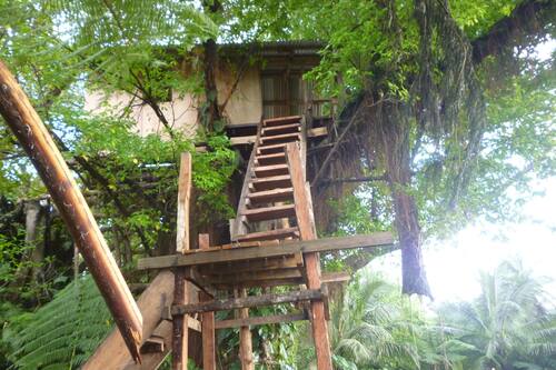キャッスル ツリー ハウス タンナ島 の宿泊予約 ホテルズドットコム キャッスル ツリー ハウス タンナ島 の宿泊予約 ホテルズドットコム