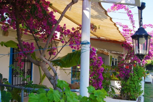 Poyraz Apart Motel Bodrum Hotels Com