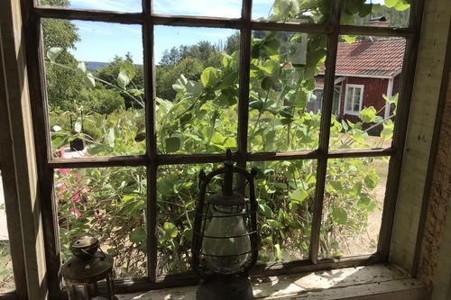 pule i kramfors sexannonser norge
