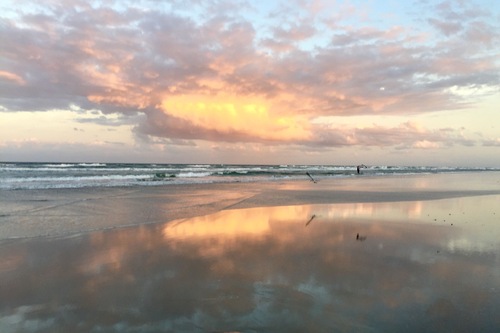 Hoteles En La Playa De New Smyrna Beach Hoteles Com Hoteles En La Playa De New Smyrna Beach Hoteles Com
