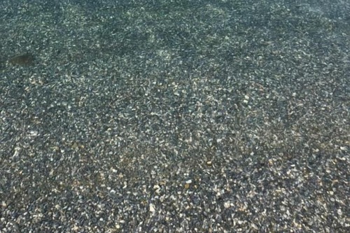 Book Akkan Plus Hotel In Bodrum Hotels Com